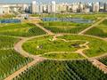 2-комнатная квартира · 45 м² · 4/9 этаж, мкр Комсомольский, Сауран 13 — Ботанический сад за 20 000 ₸ в Астане, Есильский р-н — фото 9