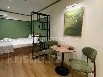 1-комнатная квартира · 18 м², Богенбай батыра 186 — Богенбай Батыра Досмуамедова за 27 000 ₸ в Алматы, Алмалинский р-н
