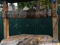Отдельный дом · 3 комнаты · 60 м² · 10 сот., П. Новоселовка 13/2 — Дом находиться в п. Новоселовка от района 5 км за 2.5 млн ₸ в Аулиеколе — фото 7