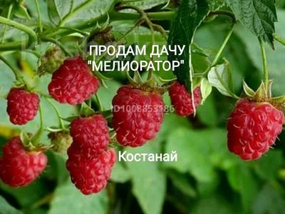 Дача · 2 комнаты · 20 м² · 4 сот., Мелиоратор Ул4 425 за 1.5 млн 〒 в Костанае