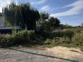 Участок · 6.16 соток, Тансамалы — Сду за 15.5 млн ₸ в Каскелене — фото 2