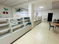 Частная школа · 1464 м² за 800 млн ₸ в Каскелене — фото 25