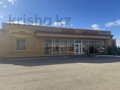 Магазины и бутики · 219.6 м² за ~ 2.2 млн ₸ в Астане, р-н Байконур