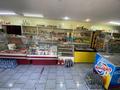 Магазины и бутики · 170 м² за 450 000 ₸ в Караганде, Алихана Бокейханова р-н — фото 3