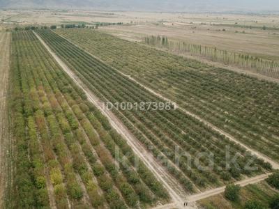 Участок · 100 га, Таукаратурык за 187 млн ₸