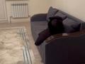 1-комнатная квартира · 40.5 м² · 3/9 этаж, Асыл Арман 8 — Алтын Орда за 150 000 ₸ в Иргели