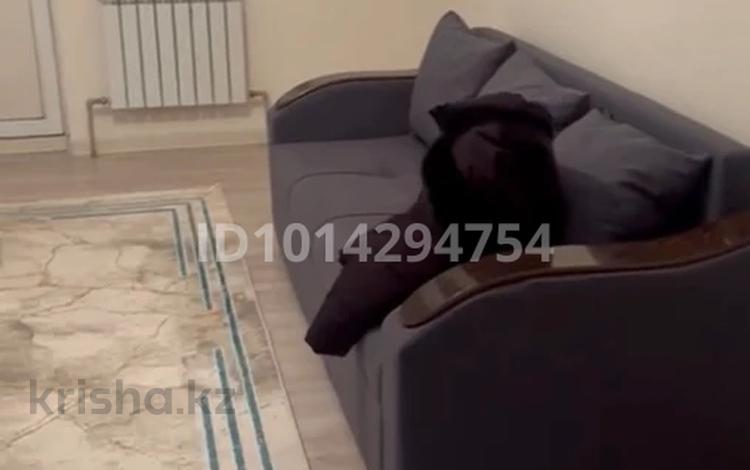 1-комнатная квартира · 40.5 м² · 3/9 этаж, Асыл Арман 8 — Алтын Орда за 150 000 ₸ в Иргели — фото 2
