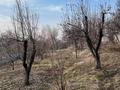 Жер телімі · 6 сотық, мкр Ерменсай, Вишнёвая 60 — Талды, бағасы: 25 млн ₸ в Алматы, Бостандыкский р-н — фото 3