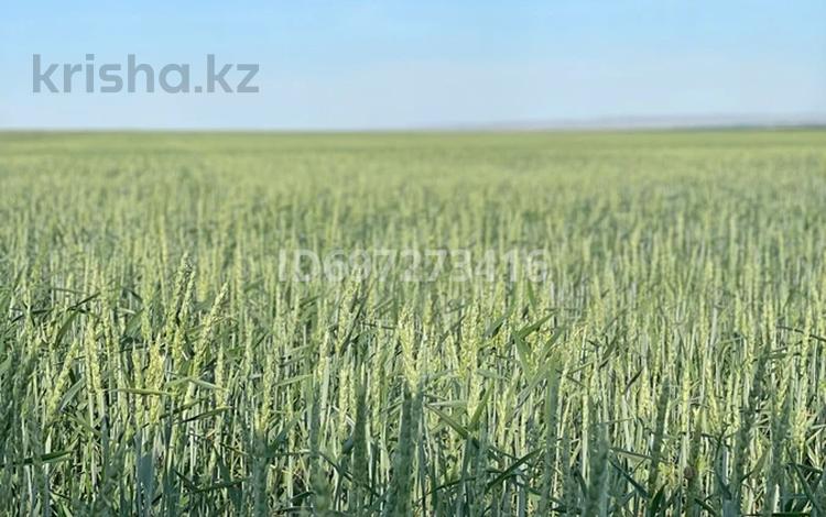 Участок · 2417 га, Акмолинская обл. за 100 млн ₸ — фото 2