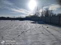 Участок · 24 сотки, Восточный правый 6547 за 10 млн 〒 в Семее — фото 14