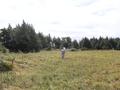 Жер телімі · 863 га, Ерейментау, бағасы: 68 млн ₸ — фото 4