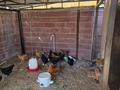 Отдельный дом · 6 комнат · 251 м² · 9 сот., мкр Самал, Самал Мусирали Бердиулы 14 — 14 за 88 млн ₸ в Атырау — фото 48