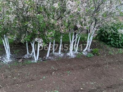 Дача · 1 комната · 14 м² · 7 сот., Нокина — С/к Черемуха, р-н старый Мясокомбинат, возле ресторана Тумар за 3.8 млн 〒 в Актобе