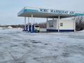 Еркін · 200 м², бағасы: 13.5 млн ₸ в Жанаарка — фото 4