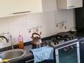 4-комнатная квартира · 75 м² · 5/5 этаж, Назарбаева 189/2 — Сатпаева за 500 000 ₸ в Алматы, Бостандыкский р-н — фото 14