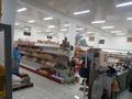 Магазины и бутики • 400 м² за 170 млн 〒 в Аксукенте — фото 5