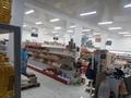 Магазины и бутики • 400 м² за 170 млн 〒 в Аксукенте — фото 8