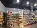 Магазины и бутики · 109 м² за 80 млн ₸ в Астане, Нура р-н — фото 2
