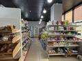 Магазины и бутики · 109 м² за 80 млн ₸ в Астане, Нура р-н — фото 4