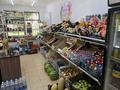 Свободное назначение, магазины и бутики · 30 м² за 130 000 ₸ в Шымкенте, Туран р-н — фото 5