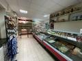Магазины и бутики • 160 м² за ~ 63 млн 〒 в Конаеве (Капчагай) — фото 3