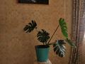 Саяжай · 10 бөлме · 400 м² · 14 жүзд., Almaty-Astana tacjoly Rakat saiajai ogniok 7 — Qaskelen Көпір deH Astana бағыт 500Meter, бағасы: 160 млн ₸ в Каскелене — фото 26