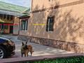 Саяжай · 10 бөлме · 400 м² · 14 жүзд., Almaty-Astana tacjoly Rakat saiajai ogniok 7 — Qaskelen Көпір deH Astana бағыт 500Meter, бағасы: 160 млн ₸ в Каскелене — фото 52