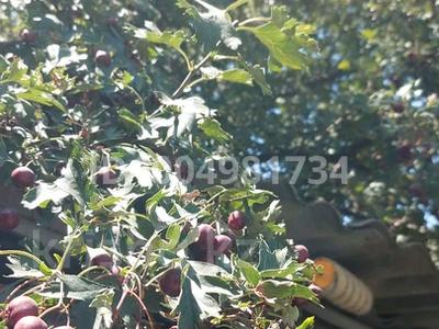 Отдельный дом · 4 комнаты · 90 м² · 4.2 сот., Спартака 16 — Спирт завод за 42 млн 〒 в Талгаре