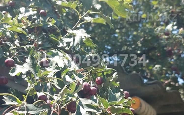 Жеке үй · 4 бөлме · 90 м² · 4.2 жүзд., Спартака 16 — Спирт завод, бағасы: 39 млн ₸ в Талгаре — фото 2