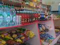 Магазины и бутики • 8 м² за 18 млн 〒 в Сарыагаш — фото 10