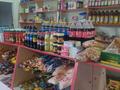 Магазины и бутики • 8 м² за 18 млн 〒 в Сарыагаш — фото 11
