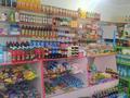 Магазины и бутики • 8 м² за 18 млн 〒 в Сарыагаш — фото 12