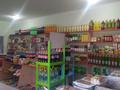 Магазины и бутики • 8 м² за 18 млн 〒 в Сарыагаш — фото 17