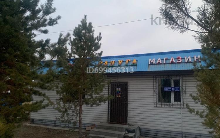 Жер телімі · 10 сотық, Конаева 26, бағасы: 25 млн ₸ в Балпыке Би — фото 2