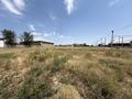 Участок · 80 соток, мкр Ынтымак-2 за 135 млн ₸ в Шымкенте, Абайский р-н — фото 3