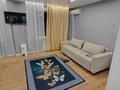 1-комнатная квартира · 33 м² · 3/4 этаж, Данеша Ракышева 63 за 250 000 ₸ в 