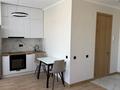 1-комнатная квартира · 30.5 м² · 7/12 этаж, Е 915 15 — Улы Дала за 200 000 〒 в Астане, Есильский р-н — фото 10
