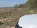 Өнеркәсіптік база · 1.63 га, Кульджинский тракт 2Б — Находится возле Amal Bio, бағасы: 380 млн ₸ в  — фото 5
