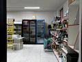 Магазины и бутики • 111 м² за 350 000 〒 в Астане, Алматы р-н — фото 7