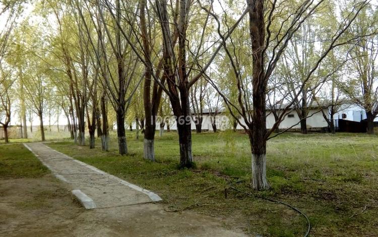 Жер телімі · 35 га, Толқын, бағасы: 135 млн ₸ в Толкыне — фото 2