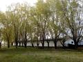 Жер телімі · 35 га, Толқын, бағасы: 135 млн ₸ в Толкыне — фото 6