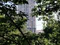 1-комнатная квартира · 36.6 м² · 3/4 этаж, Навои 318 — По Навои, на против Магазина Magnum за 35.5 млн ₸ в Алматы, Бостандыкский р-н — фото 4