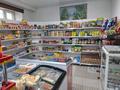 Бизнес магазин продуктовый · 70 м², бағасы: 6.5 млн ₸ в Астане, Сарыарка р-н — фото 4