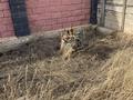 Участок · 8 га, Валиханова за 15 млн ₸ в Кокшетау — фото 10