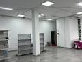 Свободное назначение, магазины и бутики, салоны красоты, бани, гостиницы и зоны отдыха, фитнес и спорт, медцентры и аптеки, образование, развлечения, конференц-залы, кабинеты и рабочие места · 250 м² за 700 000 ₸ в Туркестане — фото 7