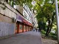 3-бөлмелі пәтер · 68 м² · 5/5 қабат, Шагабутдинова — Гоголя, бағасы: 44 млн ₸ в Алматы, Алмалинский р-н — фото 14
