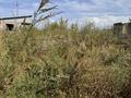 Участок · 6 соток, Алгабас — Курылысшы за 17 млн ₸ в Алматинской обл., Талгарский р-н — фото 10