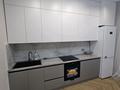2-бөлмелі пәтер · 68 м² · 4/9 қабат, Е 496 8, бағасы: 350 000 ₸ в Астане, Есильский р-н — фото 5