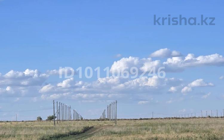 Участок · 10 соток, Баян сұлу за 5 млн ₸ в Косшы — фото 7