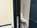 2-бөлмелі пәтер · 60 м² · 1/5 қабат, мкр Нурсая-3, Абулхаир Хана 46/6, бағасы: 30.5 млн ₸ в Атырау — фото 8
